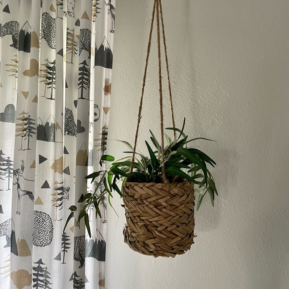 Faux Daily Leaf Statice Plant - Picture 2 of 2